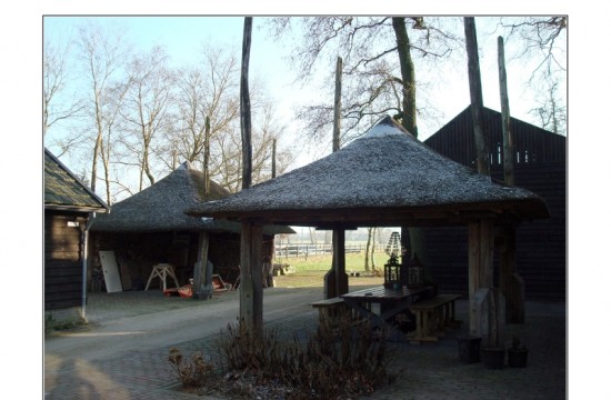 Uddel/Oudedijk 25 Uddel 29-1-2011 DSC04128 (4)a.JP