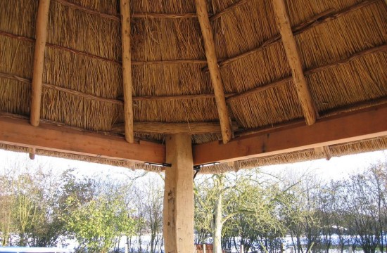 ambt_delden/rietrol 1.jpg