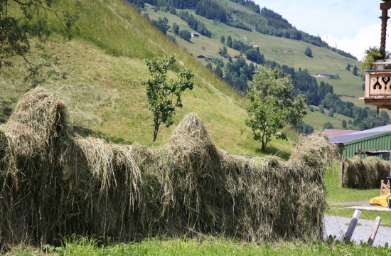 hooimijten/hohtauern001.JPG