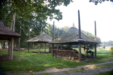 veluwe_putten_hogesteeg2008/hoge_steeg_okt2008_2.J