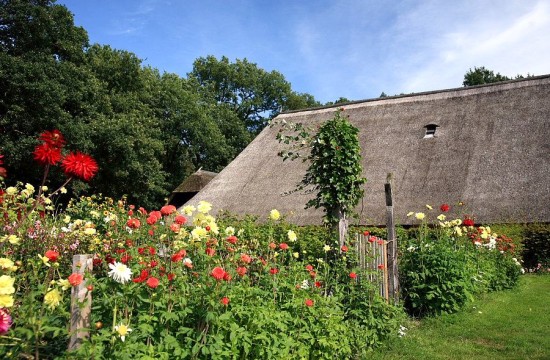 eerde/eerderachterbroek_bio (8).JPG