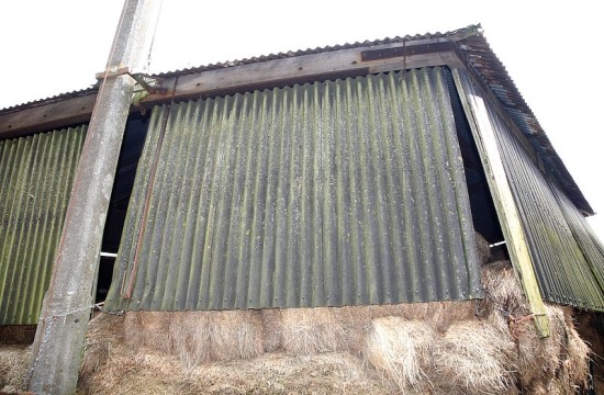 zegveld_de_bruin/zegveld_de_bruin (30).JPG