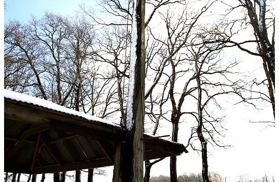 schoonheten_nellestein/schoonheten_nellestein (14)