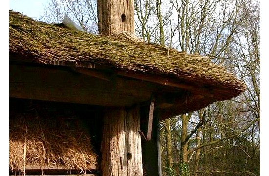 markelo/mark_voord03_RJ (Large) (Large).JPG