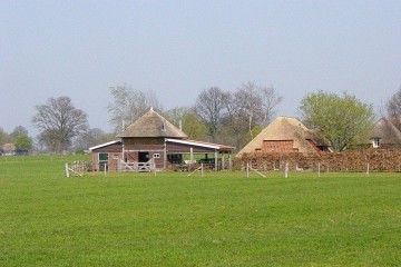 markelo/DSC00954.JPG