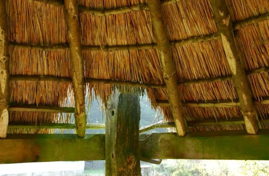 laren verwolde/hend_verwo07_RJ.JPG