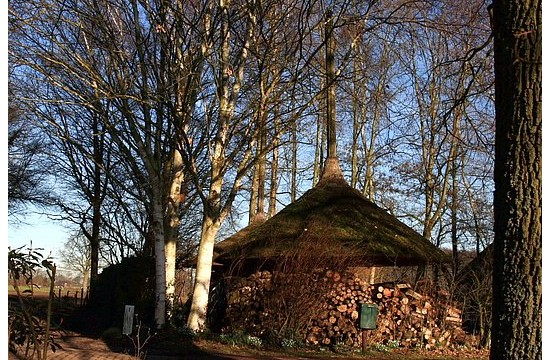 laren gld/kelin-dchter-almen_bij berkel (2).JPG