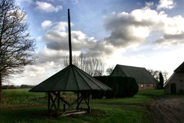 Ijssel_divers/Dieren_beuken_RJ (Medium).JPG