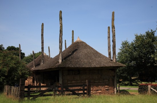 den ham/IMG_1058.JPG