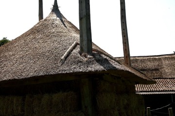 beerze_hooi/beerze_zomer (7).JPG