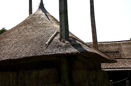 beerze_hooi/beerze_zomer (7).JPG