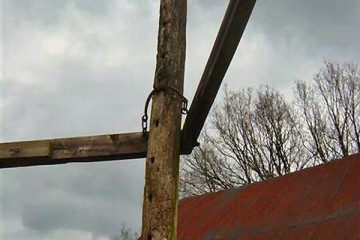 upload_veluwe/DSC02450 (Medium)0300.JPG