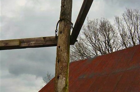 upload_veluwe/DSC02450 (Medium)0300.JPG