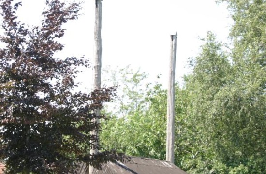 upload_veluwe/hoge_enke (13)0300.JPG