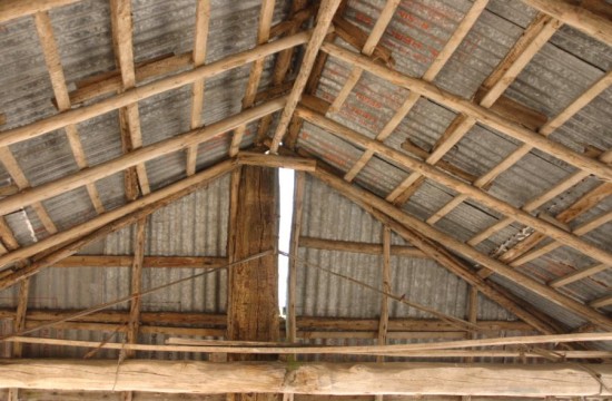 upload_veluwe/hoge_enke (28)0300.JPG