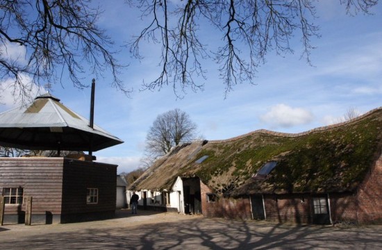 gooi_/blaricum.crw (8)0300.JPG