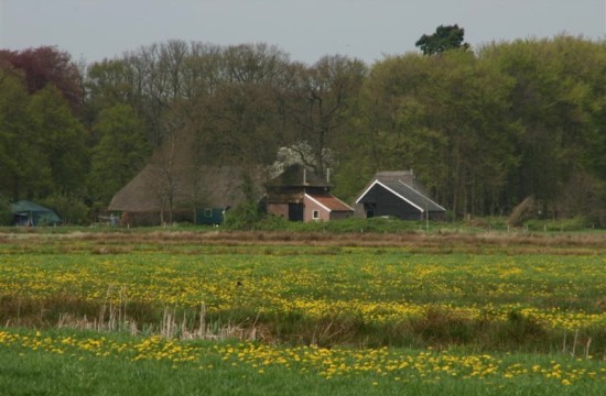 Ov_Landschap/ovlandschap (1)0001.JPG