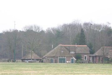 Ommen/ommen_mane020001.JPG