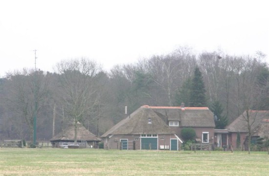 Ommen/ommen_mane020001.JPG