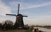 noordholland/neck002.JPG