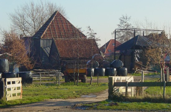 noordholland/ransdorp4.jpg