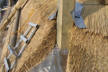 wadenoyen_en_rest/Deil, Dhr. Everdingen (2)0001.JP