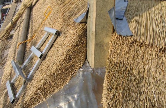 wadenoyen_en_rest/Deil, Dhr. Everdingen (2)0001.JP