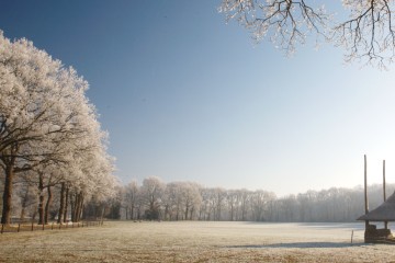 winterwonderland/winterbeerrzeberg0009.JPG