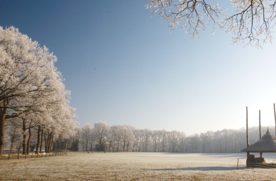 winterwonderland/winterbeerrzeberg0009.JPG