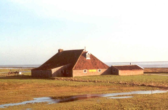 eilanden/wierschuur.JPG