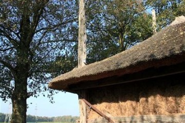 markelo_met_willem_2007/markelo_willem_2997 (3).JP