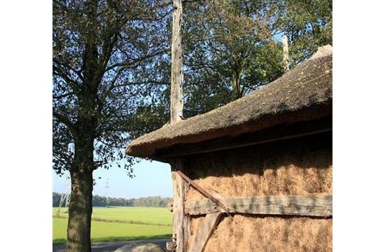 markelo_met_willem_2007/markelo_willem_2997 (3).JP