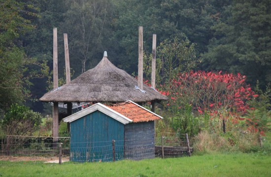 l_wegdam/l_weldam_diepenheim (3).JPG