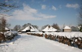 ommen/beerze_winter (4).JPG