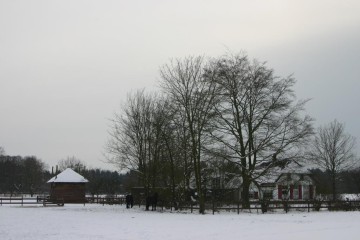 ommen/beerze_winter (3).JPG