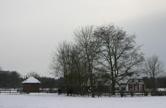 ommen/beerze_winter (3).JPG