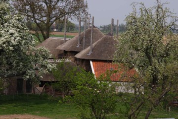 opijnen/opijnen (15).JPG