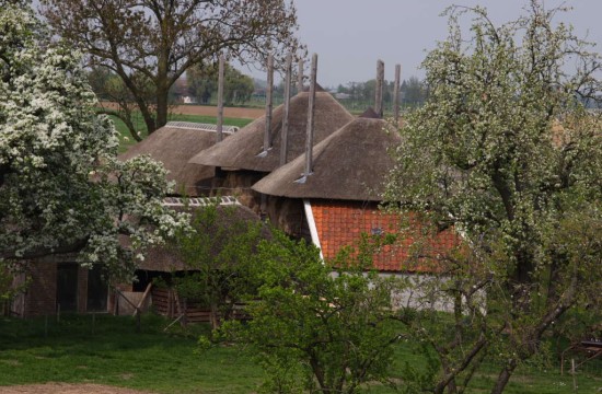 opijnen/opijnen (15).JPG