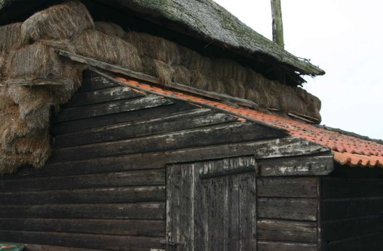 opijnen/opijnen (14).JPG