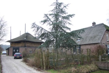 opijnen/opijnen (12).JPG