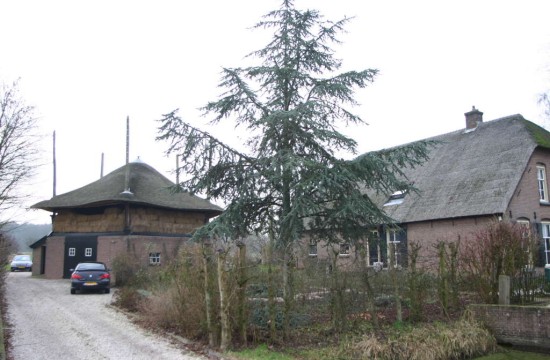 opijnen/opijnen (12).JPG