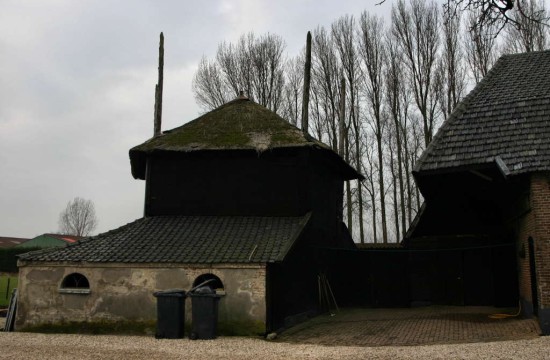 opijnen/opijnen (11).JPG