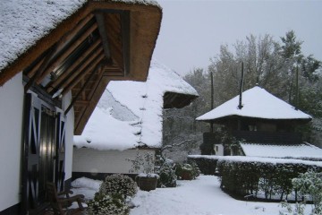 waardenburg/waardenburg (3).JPG