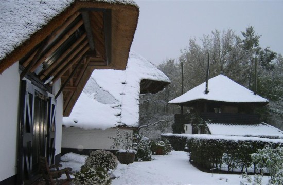 waardenburg/waardenburg (3).JPG