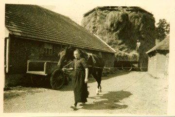 werktuigen/paard en grijper.JPG