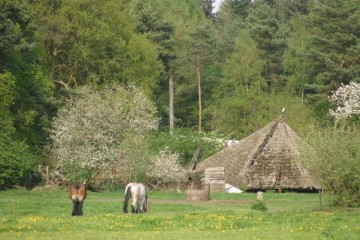 ruines/ruines (4).JPG