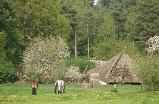 ruines/ruines (4).JPG