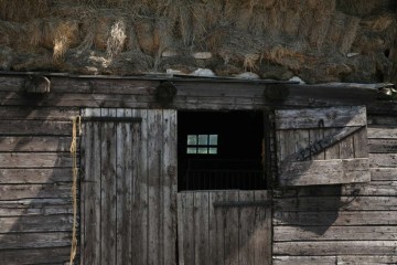 lienden_aalst/Hooiberg Lienden, detail.JPG