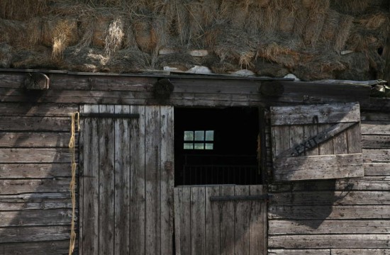 lienden_aalst/Hooiberg Lienden, detail.JPG