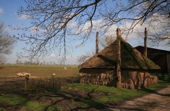 kampen/77 Hooiberg , drieroeder bij Kampen.JPG